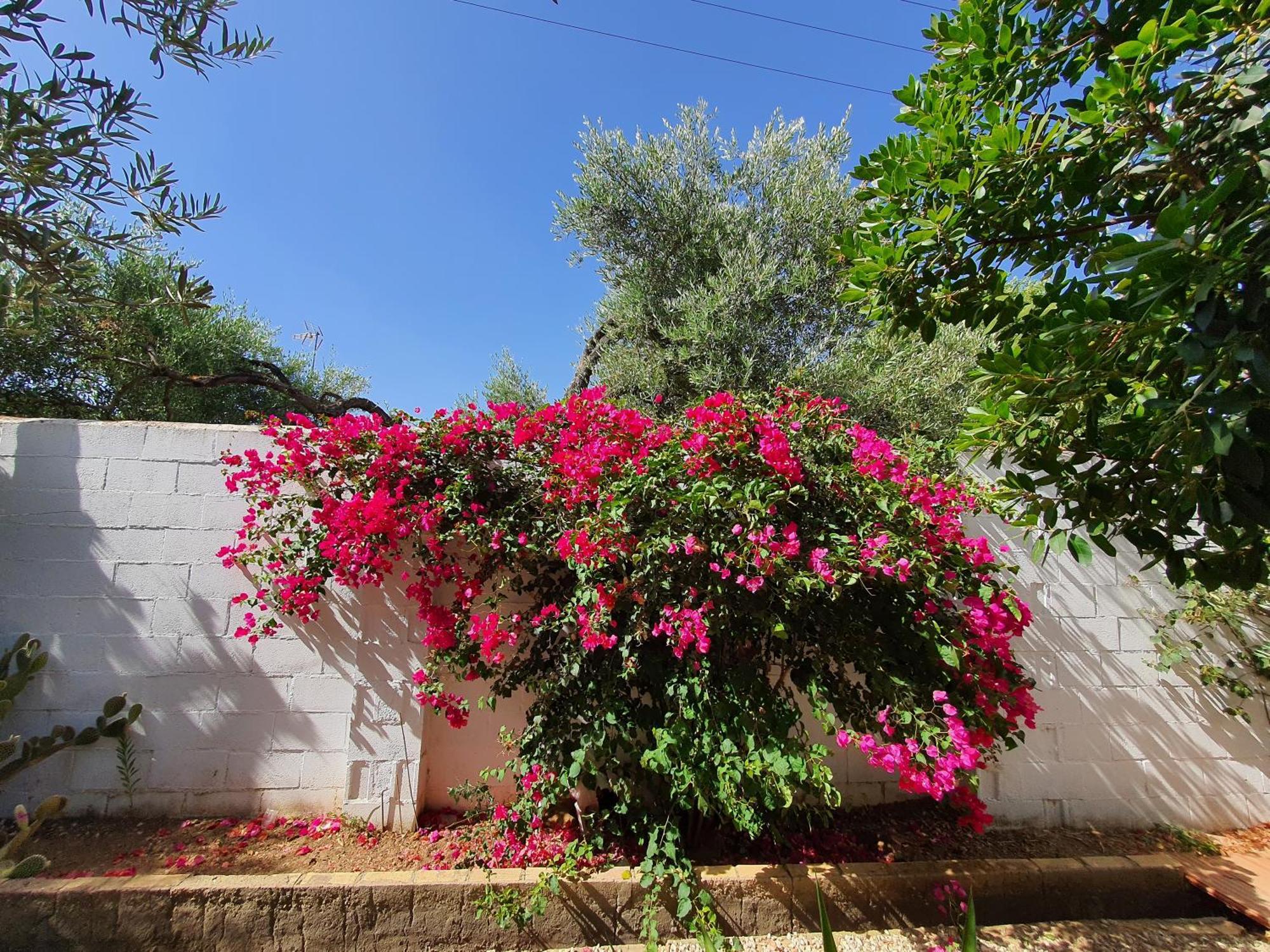 Villaluna Marchena Exterior photo